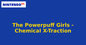 The Powerpuff Girls - Chemical X-Traction (Nintendo 64) generic cartridge label